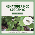 Nematoder mod sørgemyg